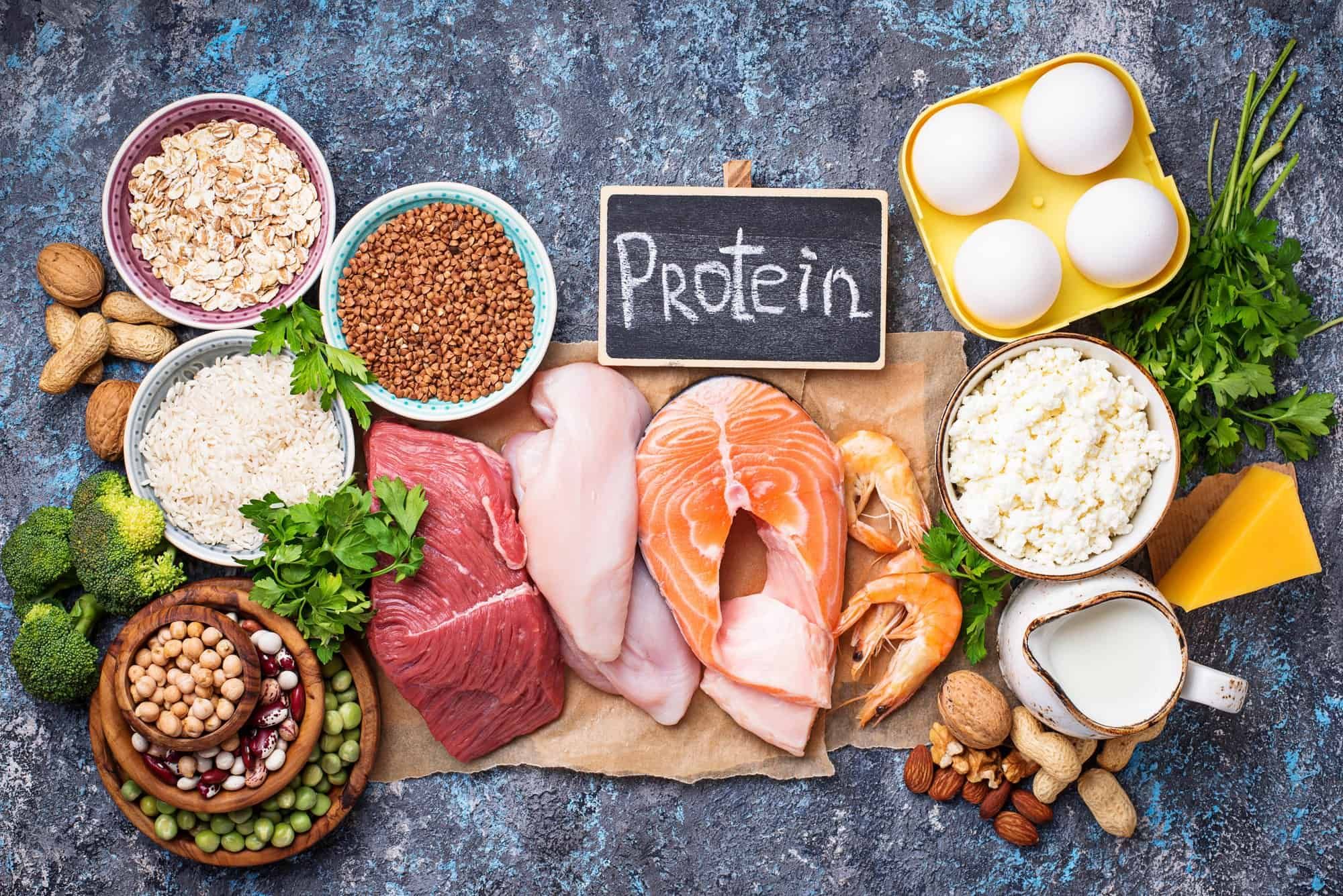 protein protein